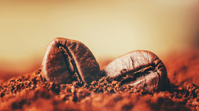 Corso online di caffetteria